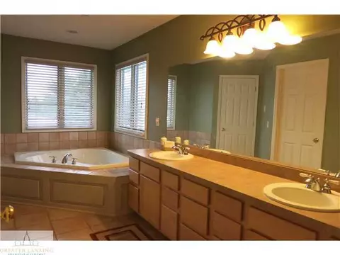 11895 Sara Ann Dr, Dewitt, MI 48820 photo 14