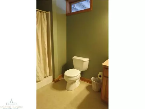 11895 Sara Ann Dr, Dewitt, MI 48820 photo 24