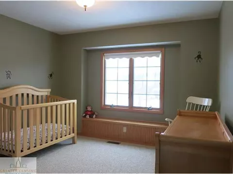 11895 Sara Ann Dr, Dewitt, MI 48820 photo 17