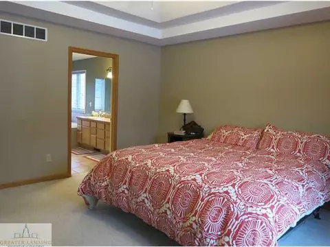 11895 Sara Ann Dr, Dewitt, MI 48820 photo 13