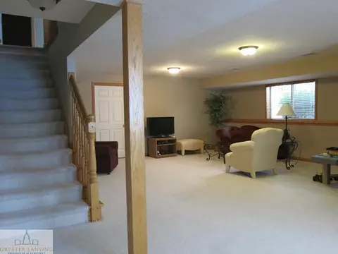 11895 Sara Ann Dr, Dewitt, MI 48820 photo 19