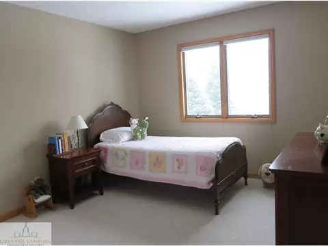 11895 Sara Ann Dr, Dewitt, MI 48820 photo 15