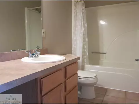 11895 Sara Ann Dr, Dewitt, MI 48820 photo 18
