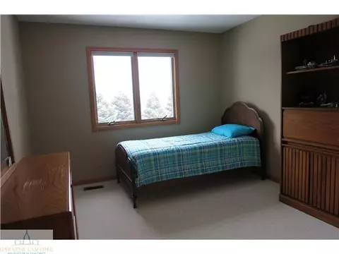 11895 Sara Ann Dr, Dewitt, MI 48820 photo 16