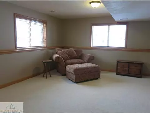 11895 Sara Ann Dr, Dewitt, MI 48820 photo 21