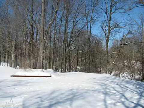 1085 Brookside Dr, Grand Ledge, MI 48837 photo 25