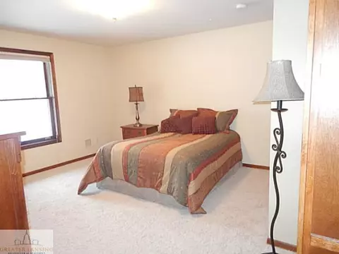 1085 Brookside Dr, Grand Ledge, MI 48837 photo 19
