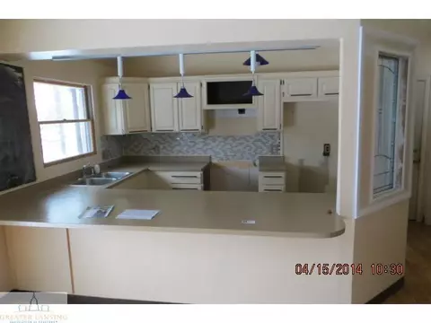 11677 Forest Hl, Eagle, MI 48822 photo 5