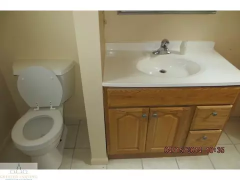 11677 Forest Hl, Eagle, MI 48822 photo 12