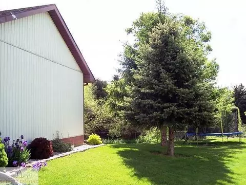 301 Creeping Brook Ln, Dewitt, MI 48820 photo 18