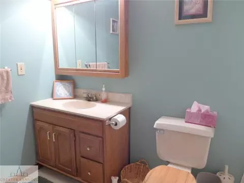 301 Creeping Brook Ln, Dewitt, MI 48820 photo 13