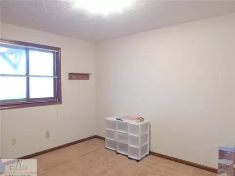 301 Creeping Brook Ln, Dewitt, MI 48820 photo 11