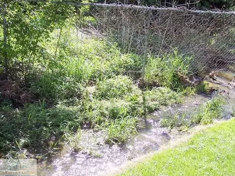 301 Creeping Brook Ln, Dewitt, MI 48820 photo 20