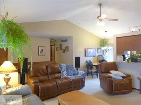 301 Creeping Brook Ln, Dewitt, MI 48820 photo 4