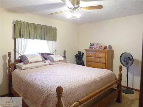 301 Creeping Brook Ln, Dewitt, MI 48820 photo 8