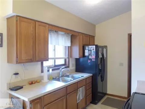301 Creeping Brook Ln, Dewitt, MI 48820 photo 6