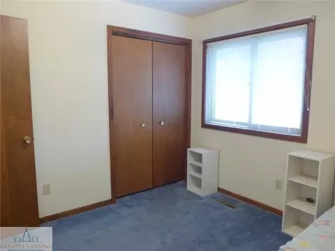 301 Creeping Brook Ln, Dewitt, MI 48820 photo 10