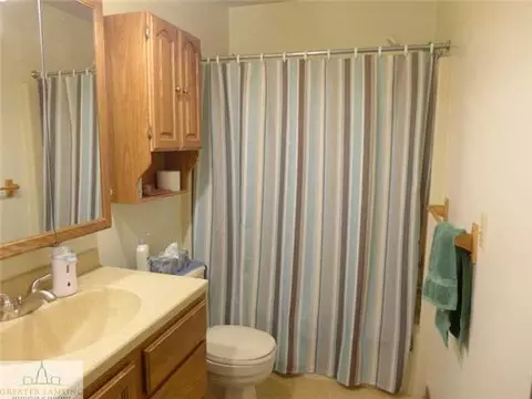301 Creeping Brook Ln, Dewitt, MI 48820 photo 9