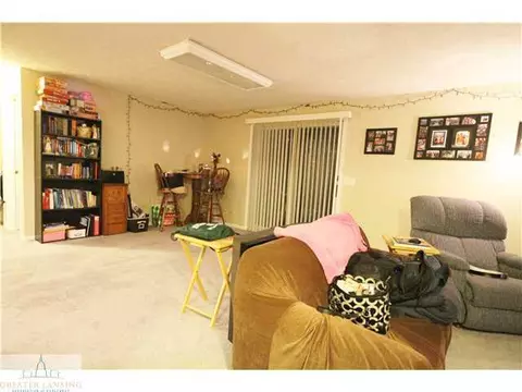 506 Dewitt Dr, Dewitt, MI 48820 photo 15
