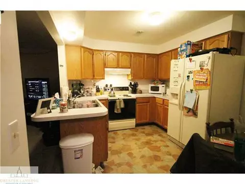 506 Dewitt Dr, Dewitt, MI 48820 photo 16