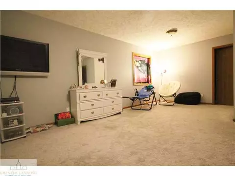506 Dewitt Dr, Dewitt, MI 48820 photo 19