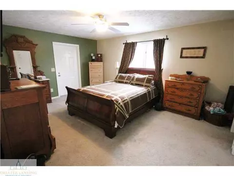 506 Dewitt Dr, Dewitt, MI 48820 photo 9
