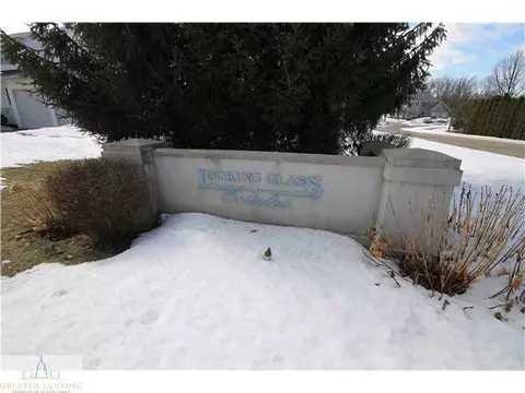 506 Dewitt Dr, Dewitt, MI 48820 photo 25