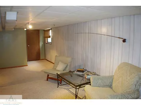 913 E Herbison, Dewitt, MI 48820 photo 17