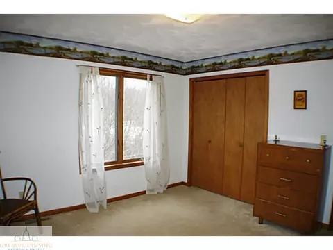 913 E Herbison, Dewitt, MI 48820 photo 14