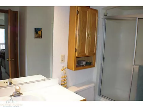 913 E Herbison, Dewitt, MI 48820 photo 13