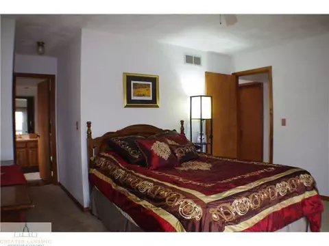 913 E Herbison, Dewitt, MI 48820 photo 12