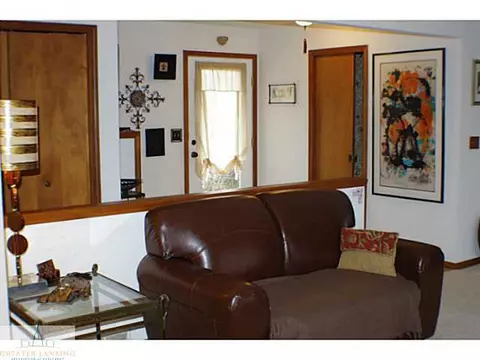 913 E Herbison, Dewitt, MI 48820 photo 4