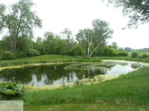 308 Kingman Rd, Mason, MI 48854 photo 13