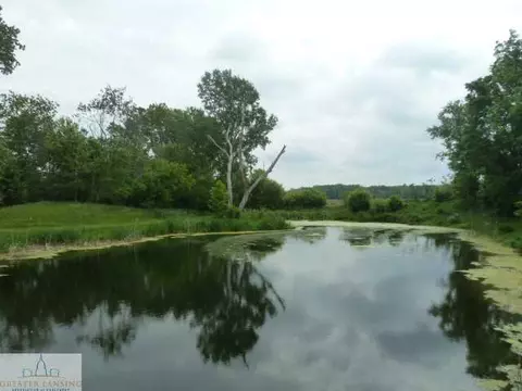 308 Kingman Rd, Mason, MI 48854 photo 12