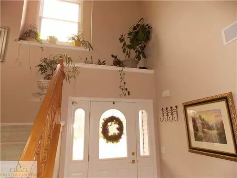 9425 S Wright Rd, Eagle, MI 48822 photo 24