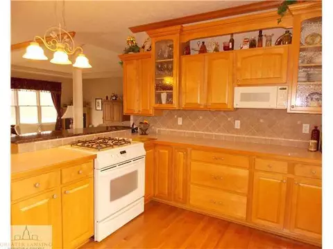 9425 S Wright Rd, Eagle, MI 48822 photo 4