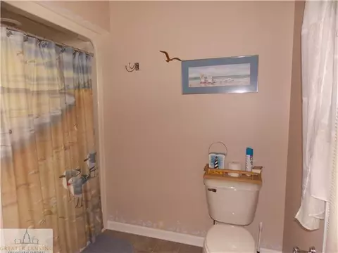 9425 S Wright Rd, Eagle, MI 48822 photo 16