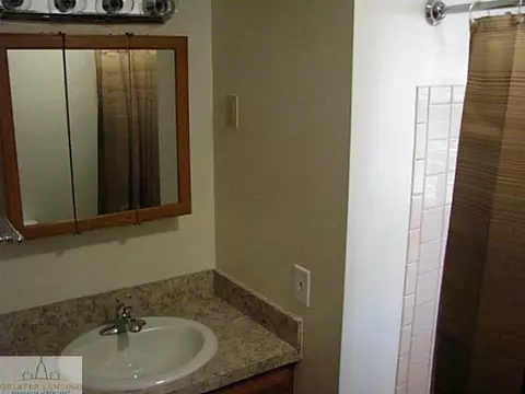 4701 Devonshire Ave, Lansing, MI 48910 photo 14