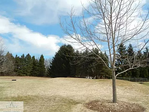 1950 Eifert Rd, Holt, MI 48842 photo 18