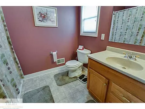 10719 W Howe Rd, Eagle, MI 48822 photo 10