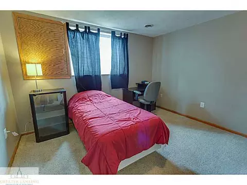 10719 W Howe Rd, Eagle, MI 48822 photo 18