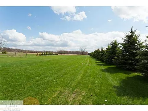 10719 W Howe Rd, Eagle, MI 48822 photo 20