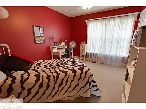 10719 W Howe Rd, Eagle, MI 48822 photo 11
