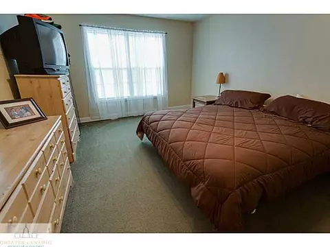 10719 W Howe Rd, Eagle, MI 48822 photo 9