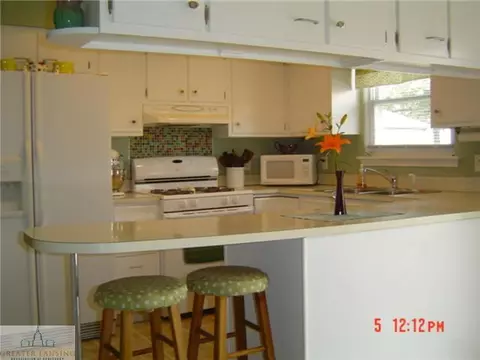 316 Iris, Lansing, MI 48917 photo 11