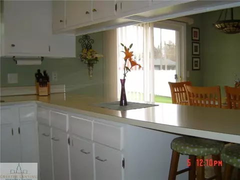 316 Iris, Lansing, MI 48917 photo 4