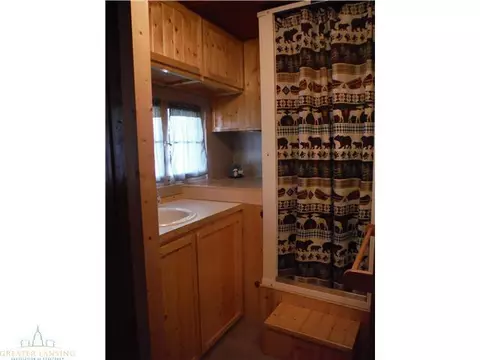 7357 K P Lake Rd, Grayling, MI 49738 photo 8