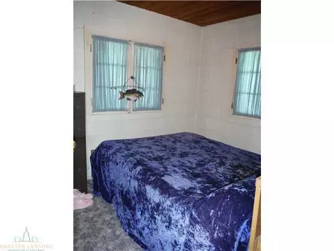 7357 K P Lake Rd, Grayling, MI 49738 photo 15