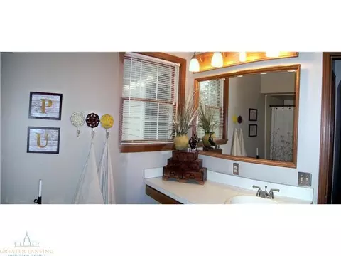 11240 W Clinton St, Fowler, MI 48835 photo 19