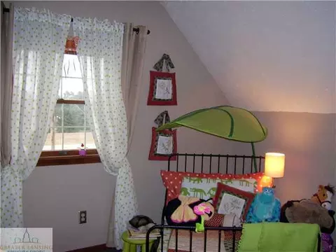 11240 W Clinton St, Fowler, MI 48835 photo 17